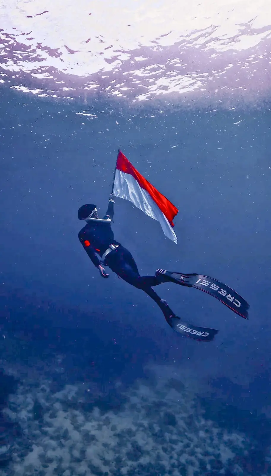 2 DAYS 1 NIGHT - Foto 2